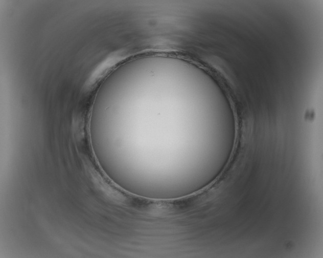 X0000112851451200908281552
