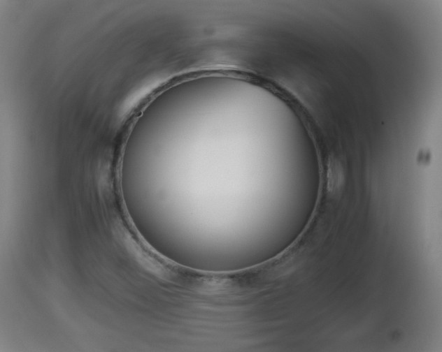 X0000112851452200908281552