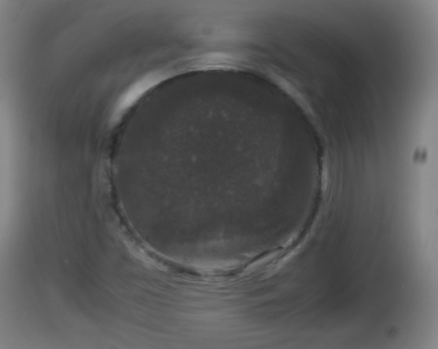 X0000112851453200908281552