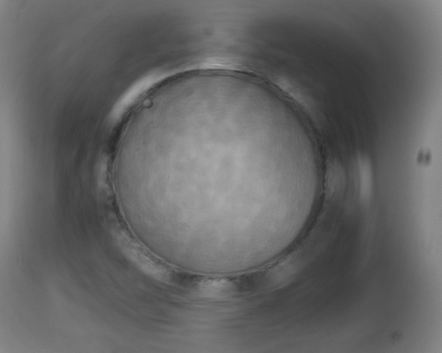 X0000112851454200908281552