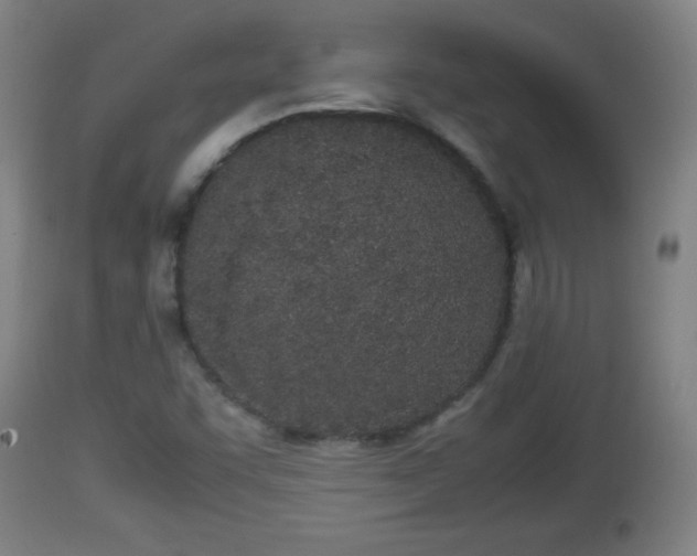 X0000112851455200908281551