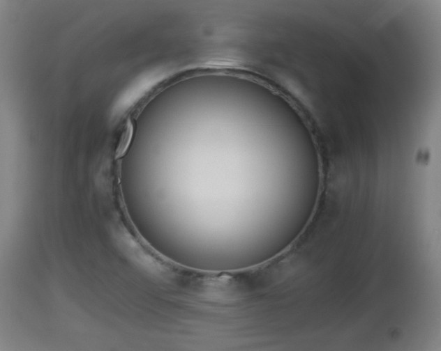 X0000112851456200908281551