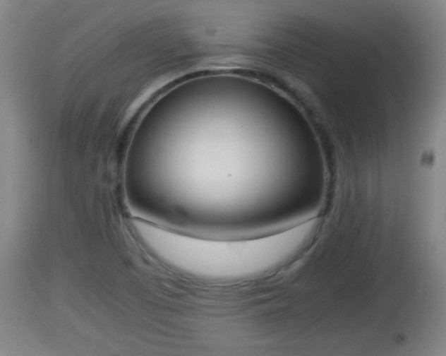 X0000112851457200908281551