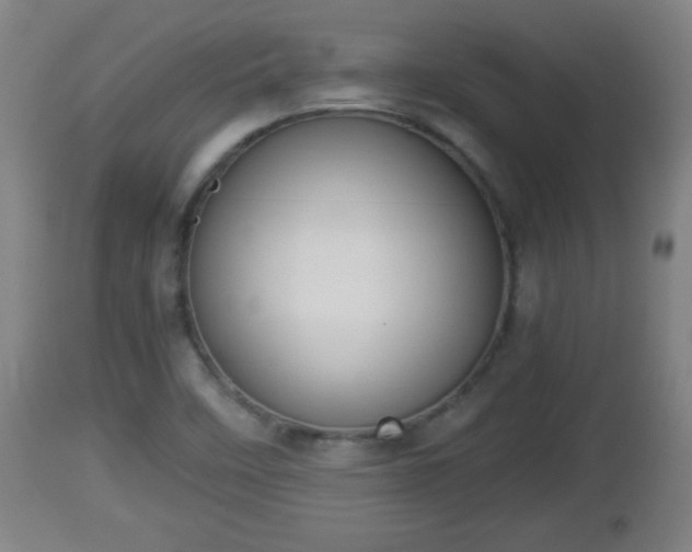 X0000112851458200908281551