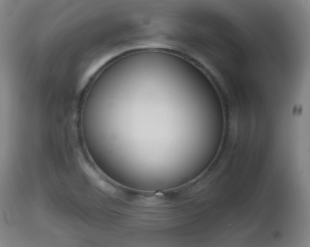 X0000112851460200908281551