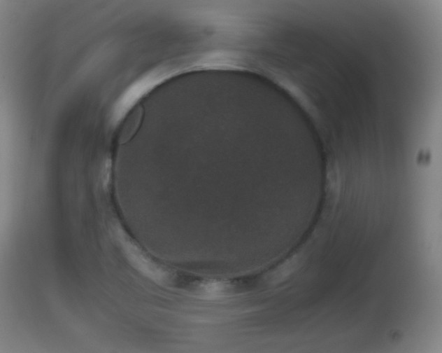 X0000112851461200908281551