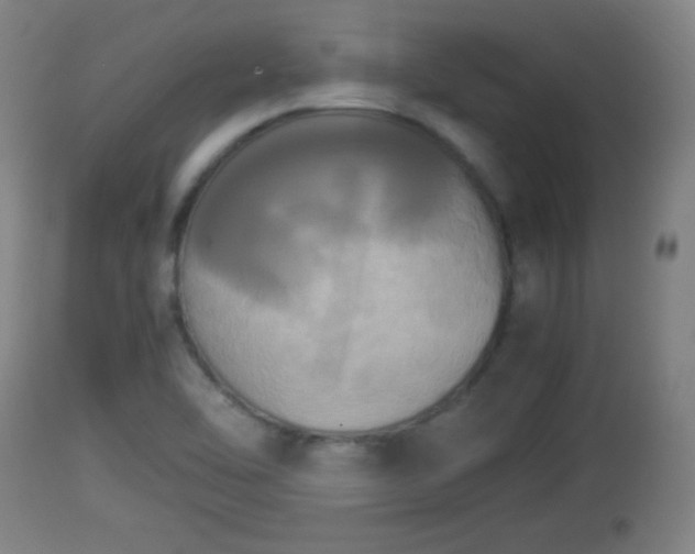 X0000112851462200908281551