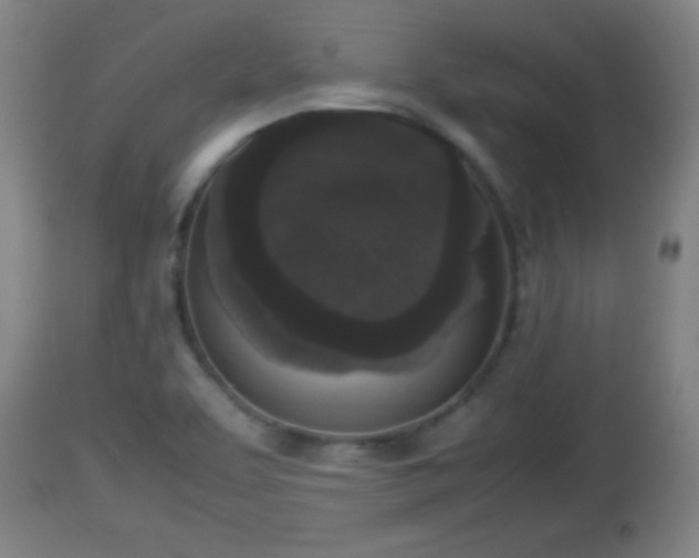 X0000112851463200908281551