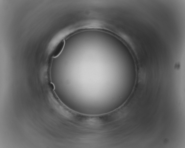 X0000112851464200908281551