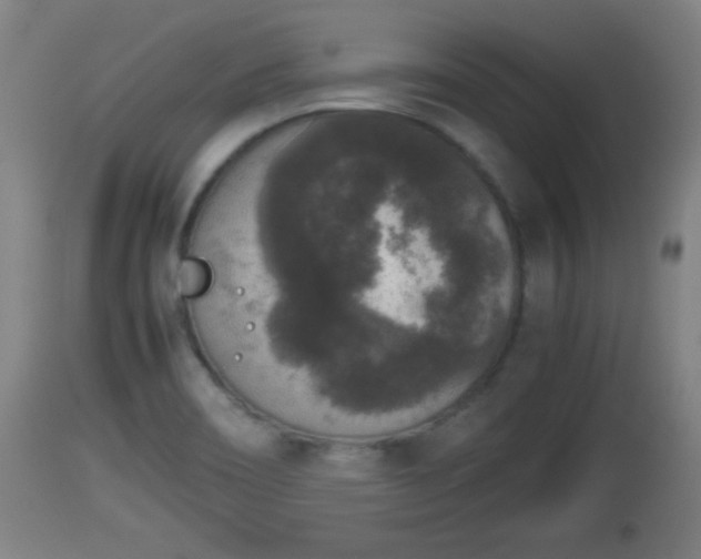 X0000112851466200908281551