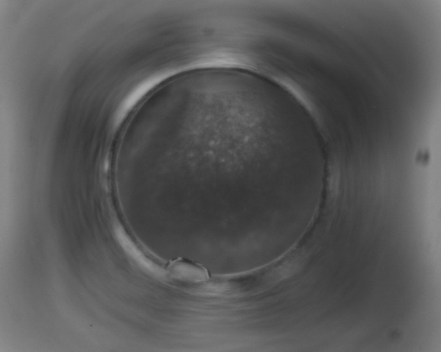 X0000112851468200908281551