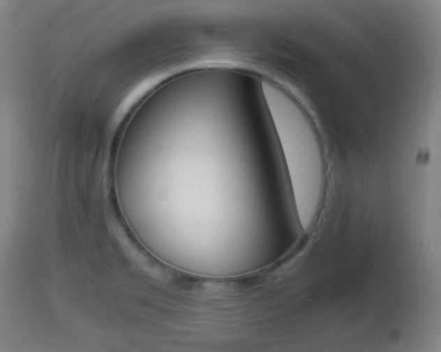 X0000112851469200908281551