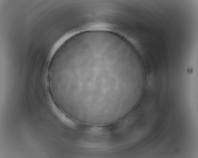X0000112851470200908281551