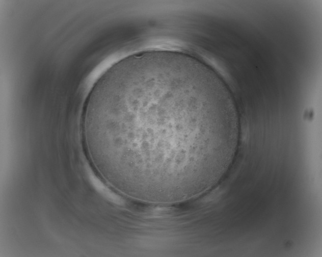 X0000112851471200908281551