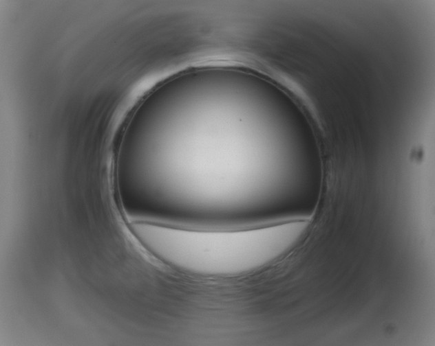 X0000112851472200908281551