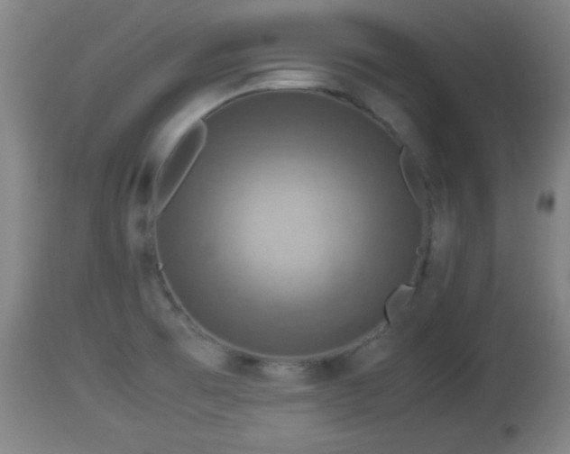 X0000112851473200908281551