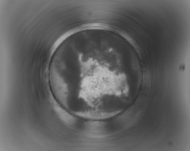 X0000112851474200908281551