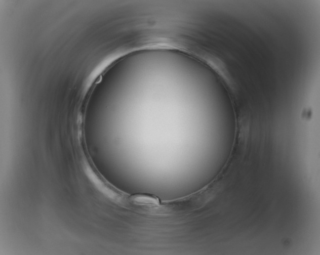 X0000112851476200908281551