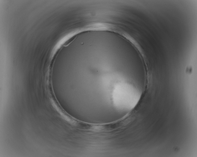 X0000112851477200908281551
