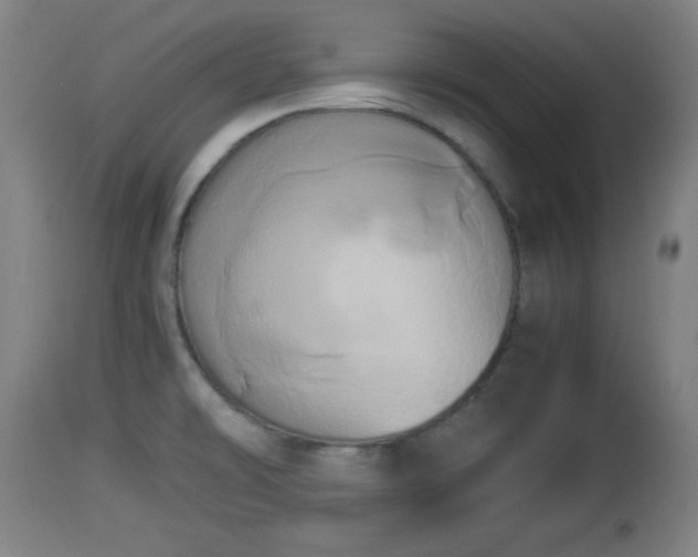 X0000112851478200908281551