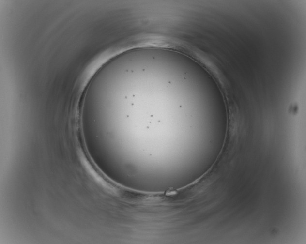 X0000112851479200908281551