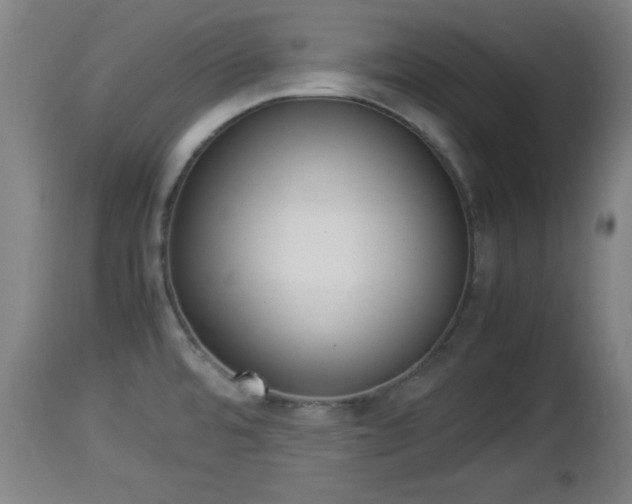 X0000112851480200908281551