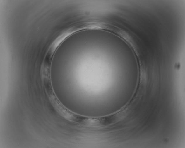 X0000112851481200908281551