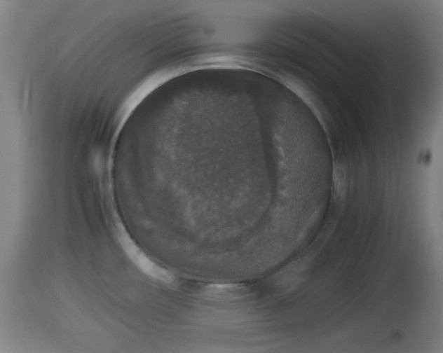 X0000112851482200908281551