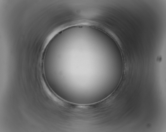 X0000112851483200908281551