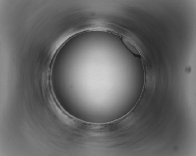X0000112851484200908281551