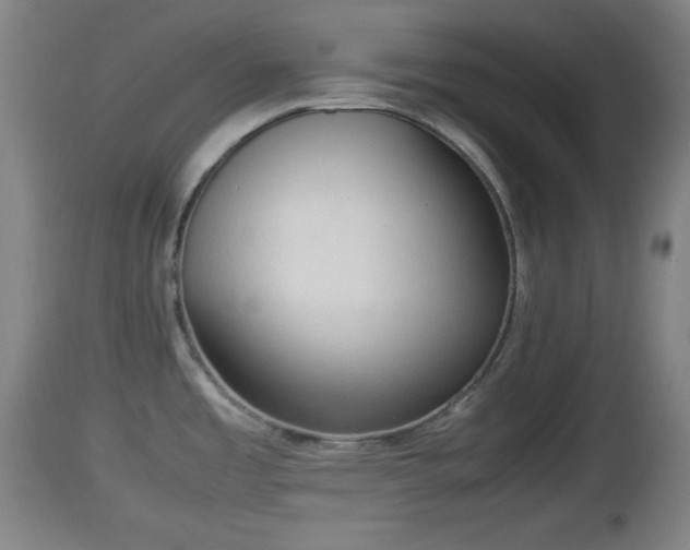 X0000112851485200908281551