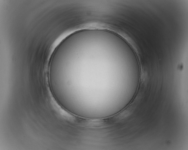 X0000112851486200908281551