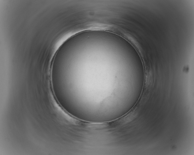 X0000112851487200908281551