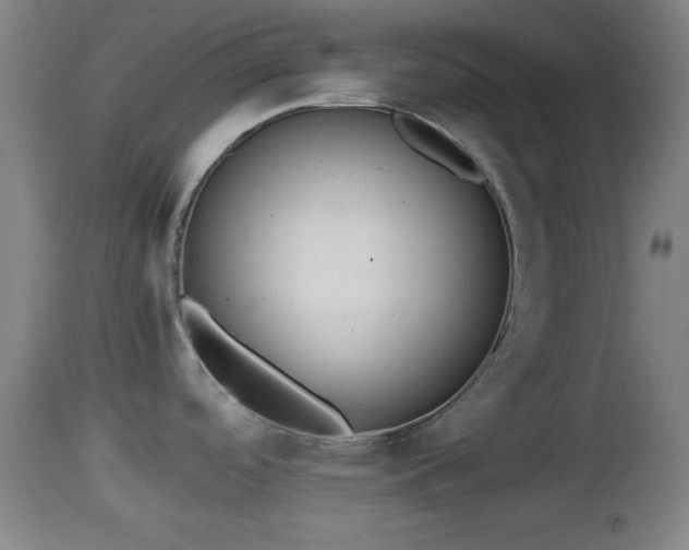 X0000112851488200908281551