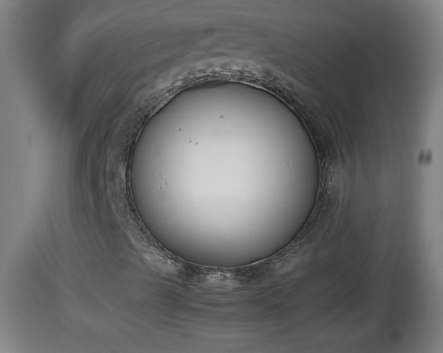 X0000112851489200908281550