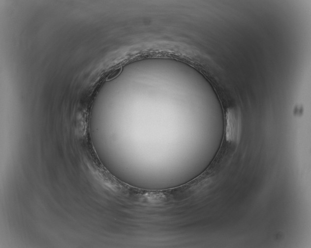 X0000112851491200908281550