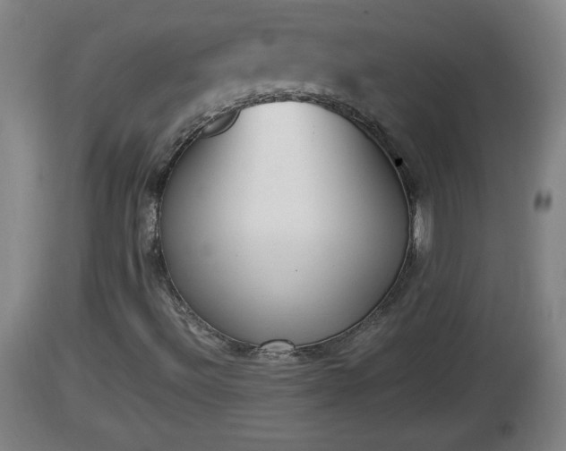 X0000112851492200908281550