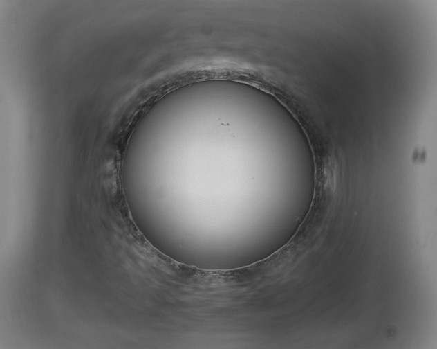 X0000112851493200908281550
