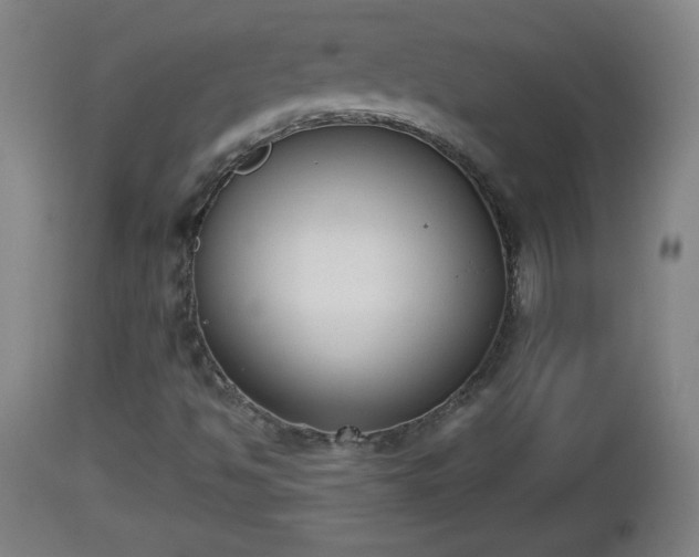 X0000112851494200908281550