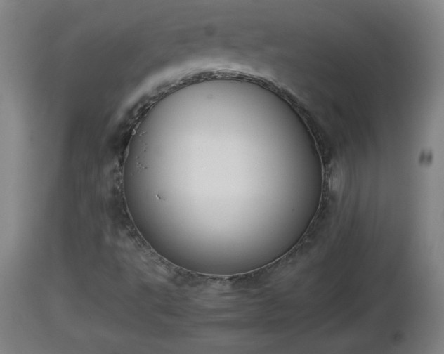 X0000112851495200908281550