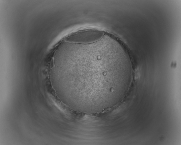 X0000112851496200908281550