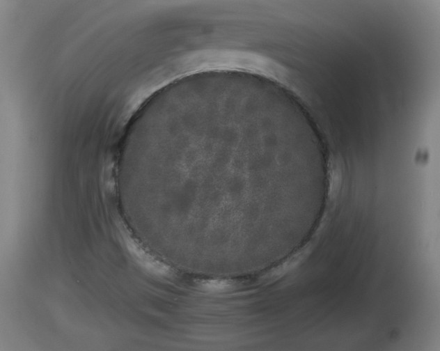 X0000112851497200908281550