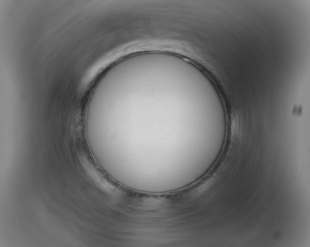 X0000112851498200908281551
