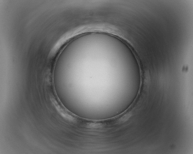 X0000112851499200908281551