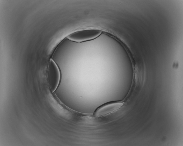 X0000112851500200908281551