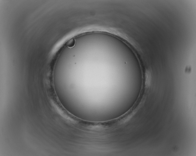 X0000112851502200908281551