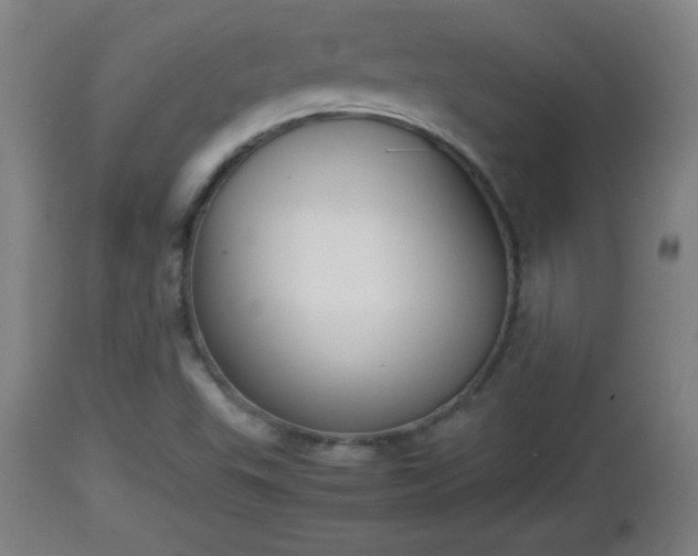 X0000112851503200908281551