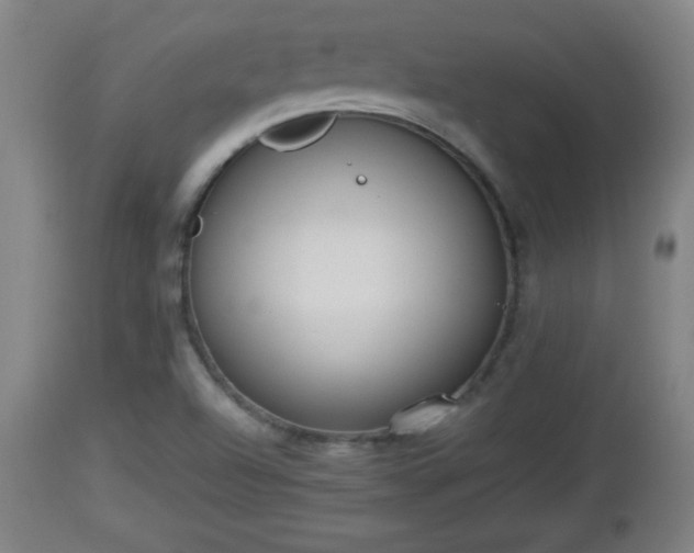 X0000112851504200908281551