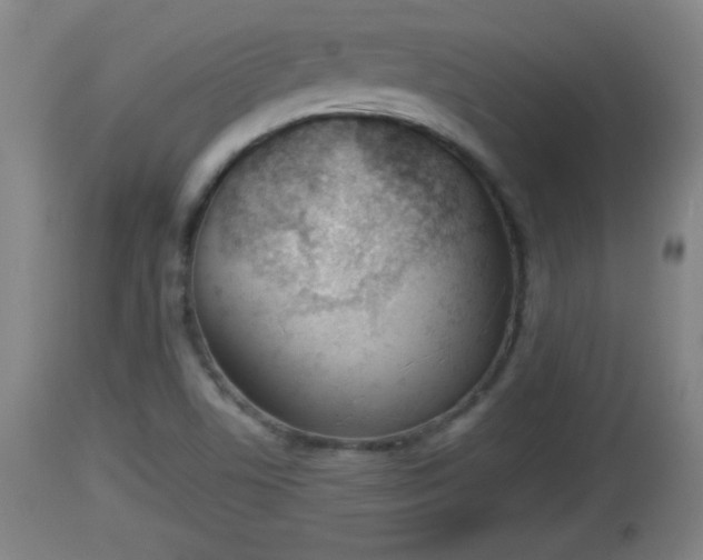 X0000112851506200908281551