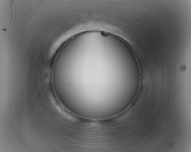 X0000112851507200908281551